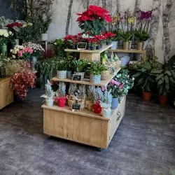 3-tier island display unit on wheels, Solid wood florist