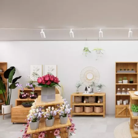 Agencement commerce superficie entre 30 et 49m² fleuriste