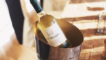 Conservation du vin blanc : Tout savoir